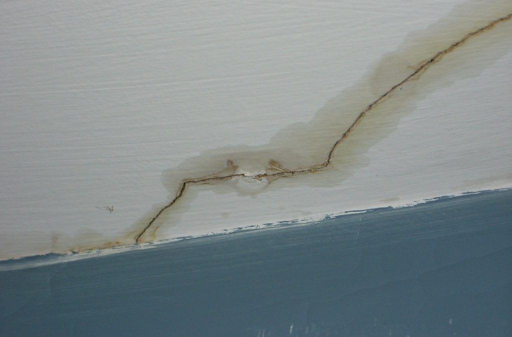 3 Seattle DIY Water Damage Clean Up Mistakes